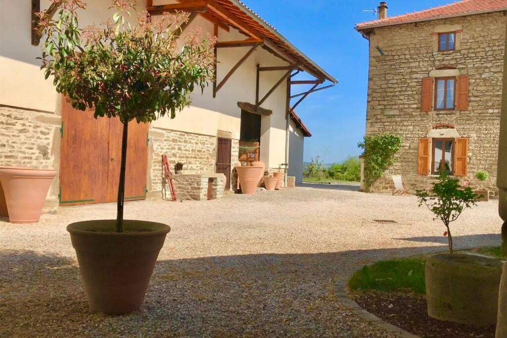 Le Hameau Du Buron - "Le Petit Buron" - Option Spa Eyzin-Pinet Экстерьер фото